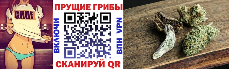 Галлюциногенные грибы Psilocybe  Монино 